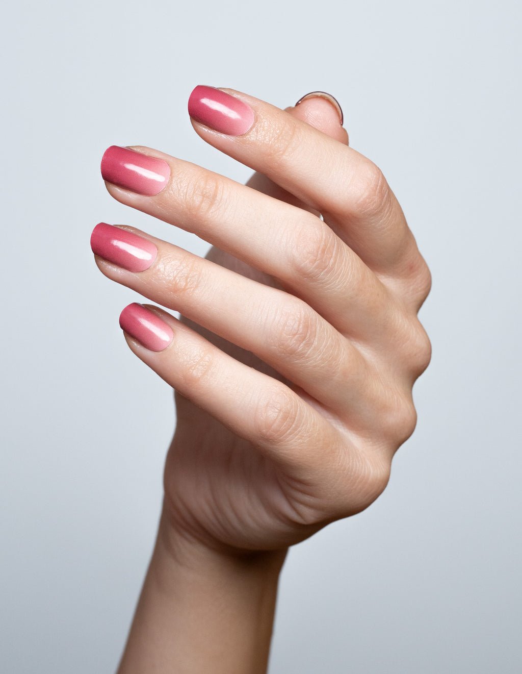 Pink Ombre